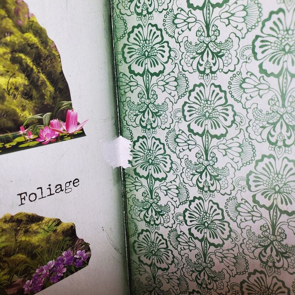 The Field Guide to Birds: Explore Southern Asia and Oceania (No Diorama) Book - Picture 5 of 14